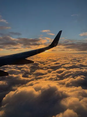Вид крыла самолета в небе утром на восходе Стоковое Фото - изображение  насчитывающей утро, горизонт: 173962472