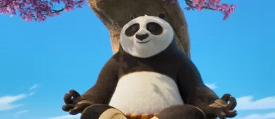 Кунг-Фу Панда (Real 3D Blu-Ray) - купить мультфильм /Kung Fu Panda/ на 3D  Blu-Ray с доставкой. GoldDisk - Интернет-магазин Лицензионных 3D Blu-Ray.
