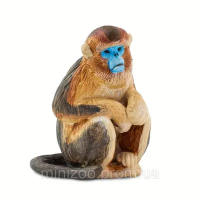 Интересные факты | Factinteres on X: \"Бирманская курносая обезьяна — самый  редкий вид обезьян, получивший свое название из-за формы носа: он немного  сплюснутый и вздернут вверх. Вот почему эти обезьяны всегда чихают