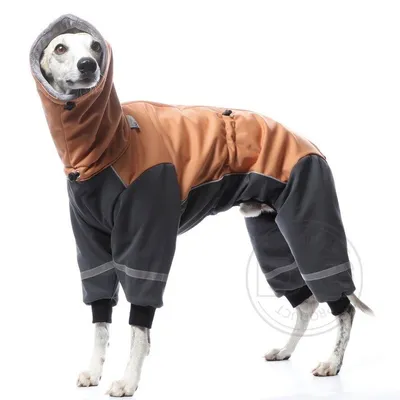 Одежда для собак крупных и средних пород JOY Комбинезон дождевик для самок  - купить с доставкой по выгодным ценам в интернет-магазине OZON (301541966)