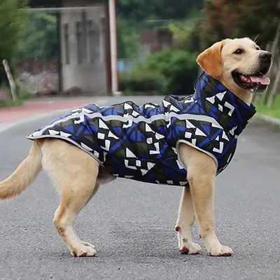 Куртка для собак больших пород | AliExpress