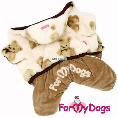 Модная одежда для собак в интернет-бутике DollyDog. Продажа эксклюзивной  одежды для маленьких собак