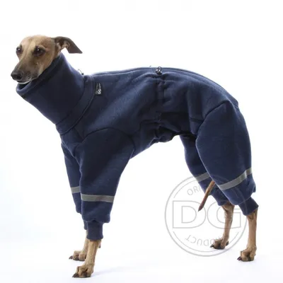 Mr.pet одежда для собак Зимний комбинезон для собак теплый