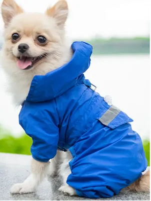 Купить Куртка для собак мелких пород \"Кубик\", черная в интернет-магазине  Zoomarket
