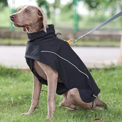 Комбинезон-шубка для собак ForMyDogs ( для девочки) - Одежда для собак,  аксессуары, дождевики, корма, доставка!
