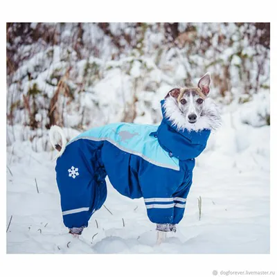 Куртка для собак Zoozavr розовая 25 купить по цене 349 ₽ с доставкой в  Москве и России, отзывы, фото