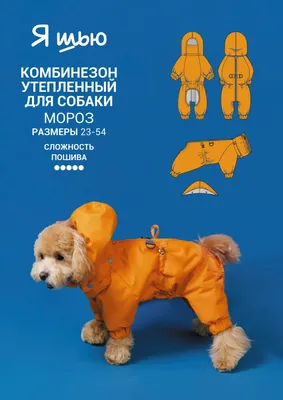 Комбинезон - дождевик непромокаемый с капюшоном для собак купить по низким  ценам в интернет-магазине Uzum (813313)