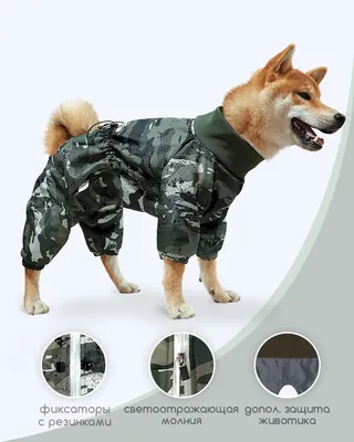 Теплая куртка для собак, утолщенная светоотражающая одежда для собак,  мягкая одежда для собак, уличная одежда – лучшие товары в онлайн-магазине  Джум Гик