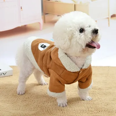 Костюм для собак девочек Pet Fashion JUDY зима 2022