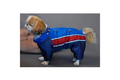 Куртка для собак Авиатор — купить в интернет-магазине по низкой цене на  Яндекс Маркете