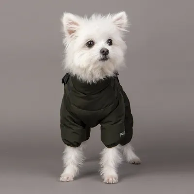 Скидки на одежду для собак - зимняя коллекция распродажа | Интернет магазин  ГиперЗоо