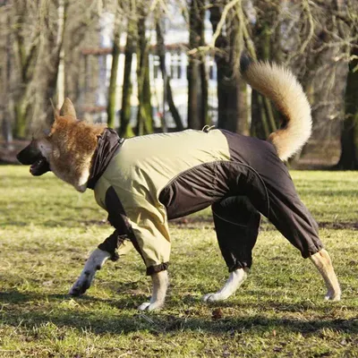 550 PA - Куртки для собак \"AIR-3\" | Crystaldog - одежда для собак