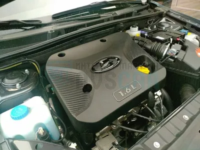 2️⃣5️⃣ Помыл двигатель — Lada Калина хэтчбек, 1,6 л, 2012 года | мойка |  DRIVE2