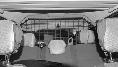Коврик багажника — Lada Ларгус, 1,6 л, 2013 года | другое | DRIVE2
