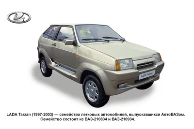 Продаётся авто Лада 2109 2000 г. в Омске, ВАЗ 210934 ТАРЗАН, бензин, 4 вд,  мкпп