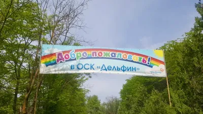 Детский лагерь \"Дельфин\", Песчаное Детские лагеря в Крыму: купить путевку в  оздоровительный лагерь | Kafabella
