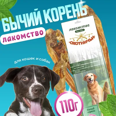 Купить Мнямс лакомства для собак «Адвент-календарь» 100г в  интернет-магазине Мнямс