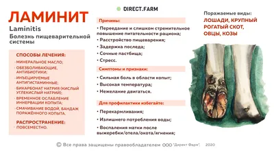 Ламинит. Кто как лечит? | Страница 2 | Prokoni.ru