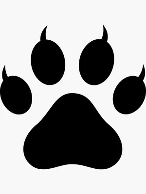 Tiger Paw SVG – MasterBundles