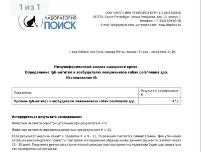 Экспресс-тест на лейшманиоз у собак VILS-402 (ID#1636059242), цена: 1200 ₴,  купить на Prom.ua