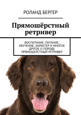 Ошейник против блох и клещей Perfect Care Insect Repellent Collar for dogs  55 cm - «Защищает собаку от москитов до 4 месяцев? Основан на эфирных  маслах» | отзывы