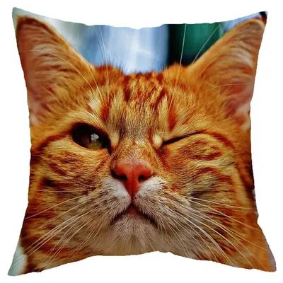 Картина по номерам \"Ленивый кот\", на холсте с подрамником, 40 х 50 см  купить по цене 699 ₽ в интернет-магазине KazanExpress