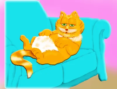Ленивая кошка – 3 упражнения и игры, которые нужно делать дома