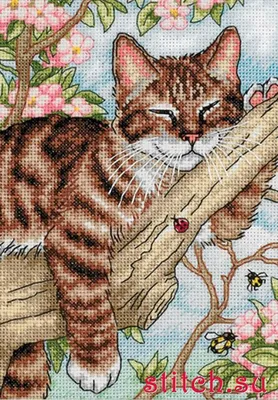Милый маленький ленивый кот, украшение для гостиной, дивана, наволочка,  квадратная наволочка – лучшие товары в онлайн-магазине Джум Гик