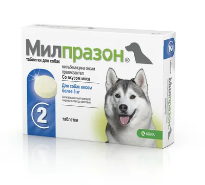 Капли для собак Inspector Quadro 25-40кг от наружных и внутренних паразитов  4мл купить по цене 845 ₽ в интернет-магазине Детский мир