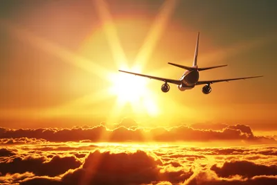 FS Travel - Лучший транспорт в гололед - на юг летящий самолет! #tuirussia  #timetotravel #travel #путешествия #отдых #vacation #tourism | Facebook