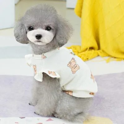 Летняя одежда для собак красивое платье с фатином белое на лето с принтом  Звезды разных размеров (ID#1618734416), цена: 270 ₴, купить на Prom.ua