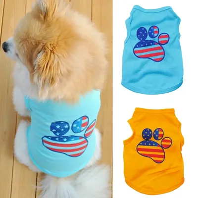 Летняя одежда для собак нарядное платье с бантом на лето Микки бирюзовое  разных размеров (ID#1618750493), цена: 285 ₴, купить на Prom.ua