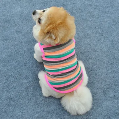 Летняя одежда для собак яркая в полоску (ID#717217792), цена: 227 ₴, купить  на Prom.ua