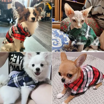 Купить Летняя полосатая футболка для собак, дышащая одежда для щенков,  жилет для маленьких и средних собак, домашних кошек, мопсов, одежда,  костюмы | Joom