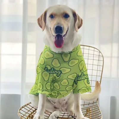 Летняя одежда для собак для маленьких собак Модная хлопковая клетчатая  рубашка с кошкой и собакой, размер: XS (синий)