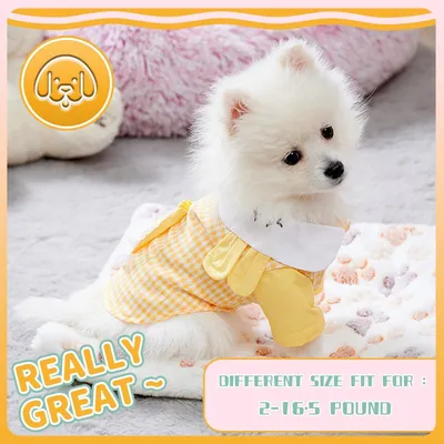 Футболка для собак майка для собак боксёрка летняя одежда для собак топ для  собак (ID#1206025661), цена: 120 ₴, купить на Prom.ua