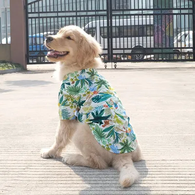 Летняя одежда для собак для маленьких собак Модная хлопковая клетчатая  рубашка с кошкой и собакой, размер: XS (синий)