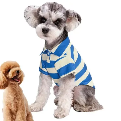 Майка для собак Летняя одежда для собак Летний свитер для собаки Ручная  работа (ID#1446020772), цена: 220 ₴, купить на Prom.ua