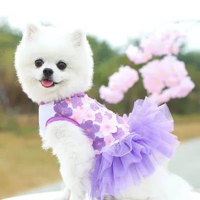 Романтические фиолетовые кружевные платья для собак, летняя одежда с  принтом собаки, одежда для щенка, принцессы, для свадьбы, весны, летние  платья | AliExpress