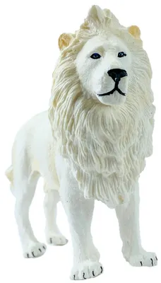 Набор для рисования по номерам на холсте белый лев, 60 х75 см | AliExpress