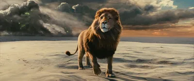 Как читать «Хроники Нарнии» и кто на самом деле лев Аслан? | Вдохновляющая  арт-терапия с Ксенией Наговицыной | Дзен