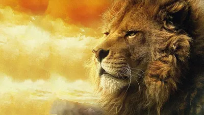 Кто такой лев Аслан в «Хрониках Нарнии»? | частные суждения | Дзен
