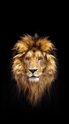 Обои iPhone wallpapers | Beautiful lion, Lion painting, Lion images
