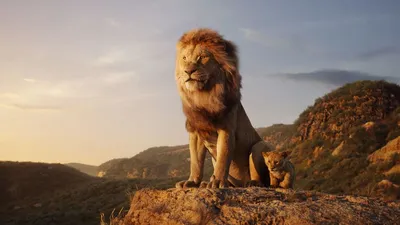 Обои лев, lion, roaring, 4k, Животные #17115
