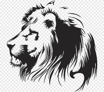 Лев графика рисунок рисунок, лев, млекопитающее, животные png | Силуэт  животного, Иллюстрации с тигром, Млекопитающие
