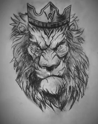 лев, нарисованный лев, голова льва, рисунок льва png | Klipartz