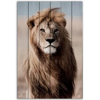 Картина по номерам - Роскошный лев (KHO4286)