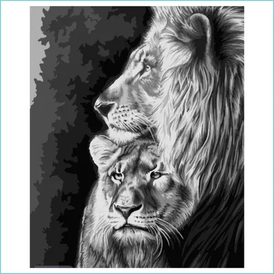 большой лев лежит, распечатать картинки льва, денди лев картинка, горный лев  картинки фон картинки и Фото для бесплатной загрузки