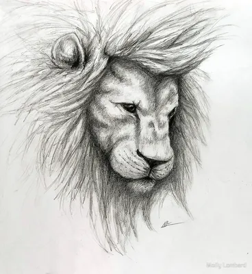 Рисунок льва для срисовки 23 февраля (38 шт)
