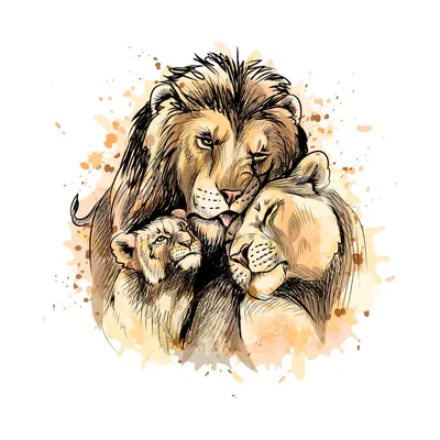 Лев и Львенок - красивые фото